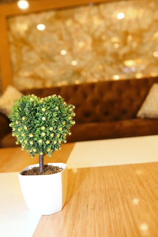 Tella Hotel