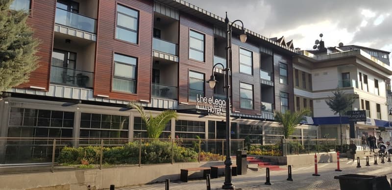 The Elegant Hotel