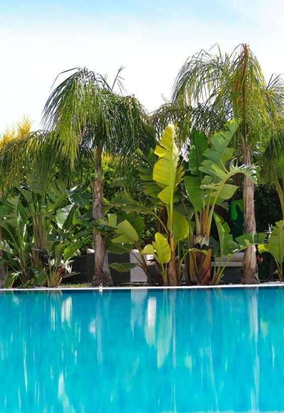 Triangulo Hotel Alaçatı (Adults Only +12)