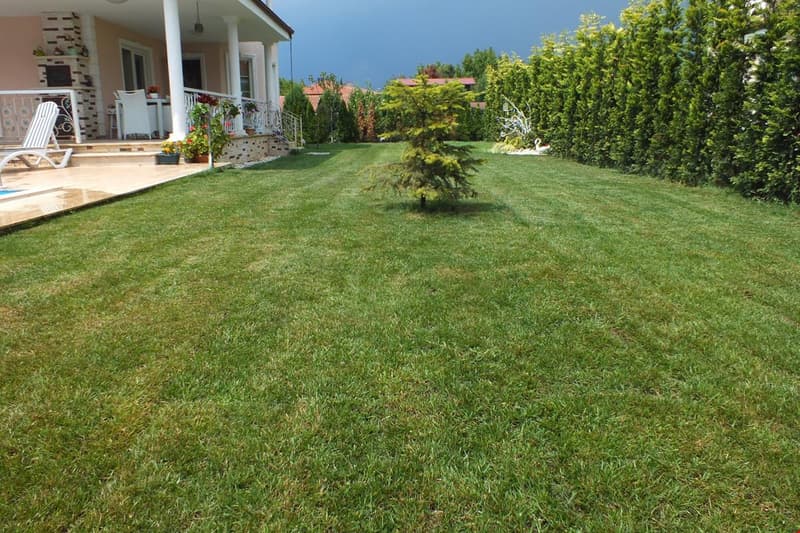Villa Efsa