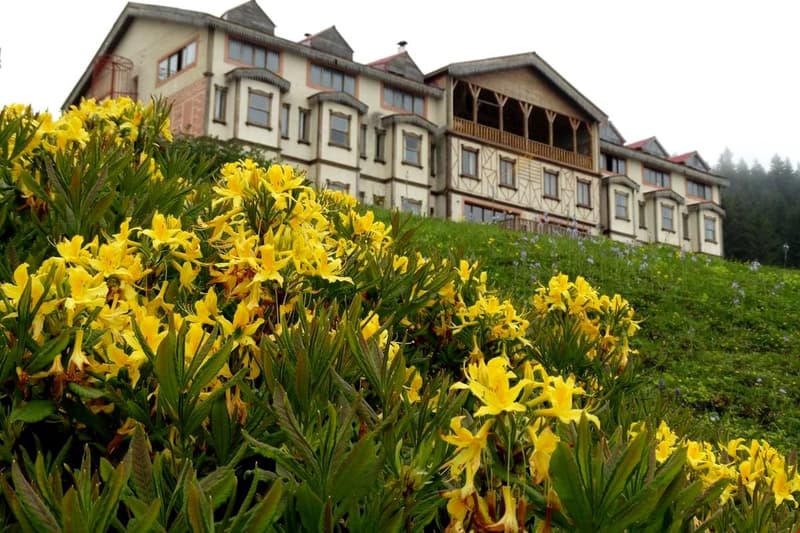 Zifin Hotel