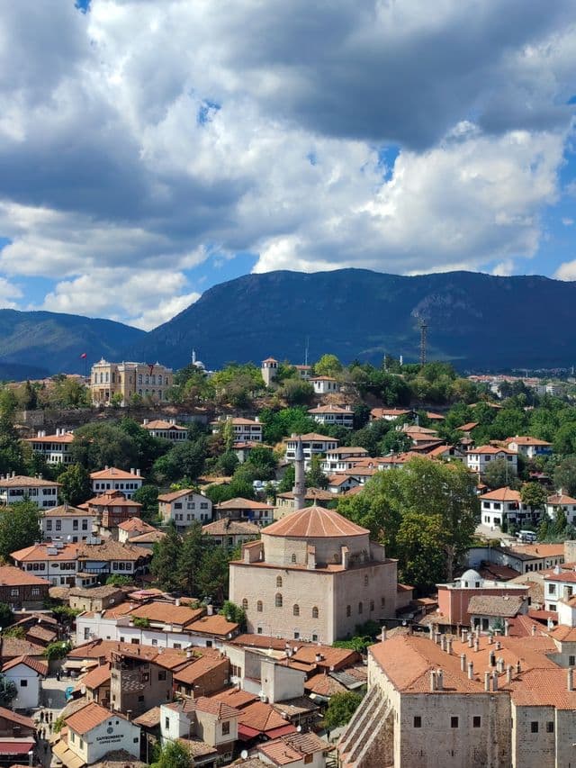 Bursa