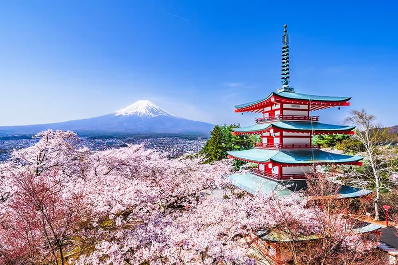 İstanbul Çıkışlı Comfort Japonya Turu