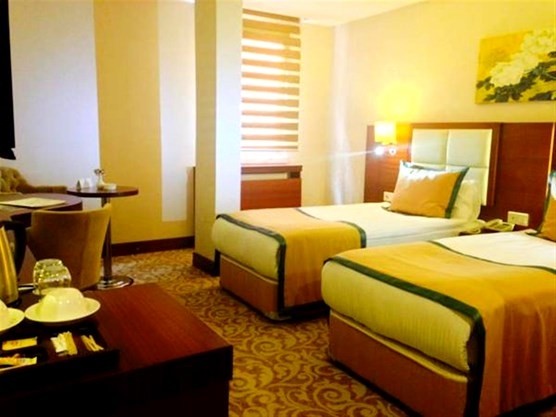 Standart Twin İki Ayrı Yataklı Oda Resim