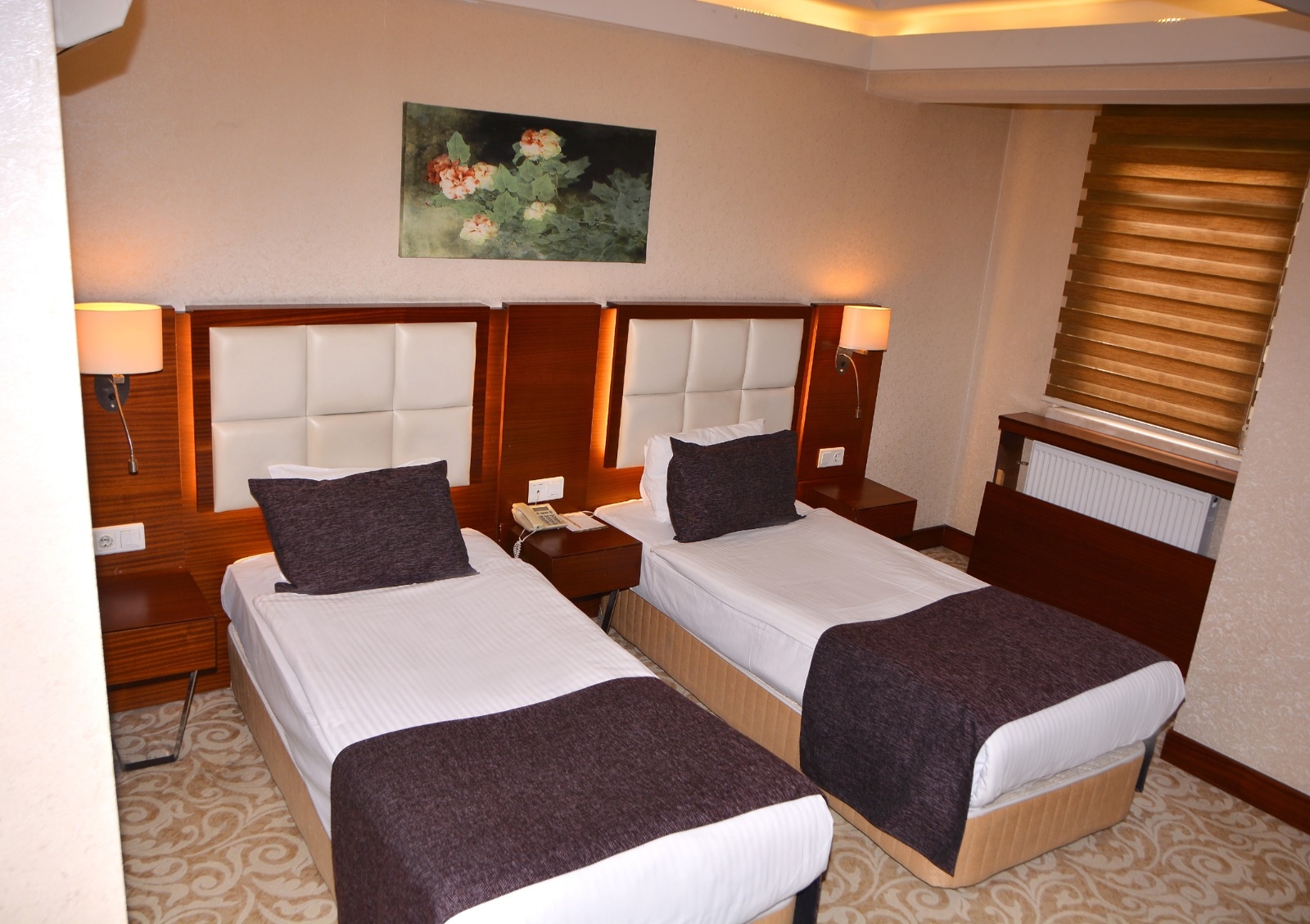 Standart Twin İki Ayrı Yataklı Oda Resim