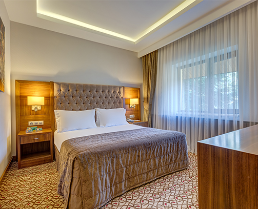 Standart Orman Manzaralı Oda Resim